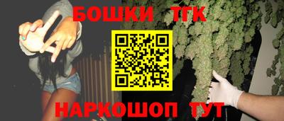 прущие грибы Славгород
